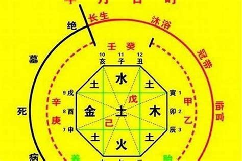 免費算五行喜用神|八字喜用神